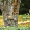 Squirrel Picnic Table Feeder Wooden Squirrel Feeders Corn Cob Holder