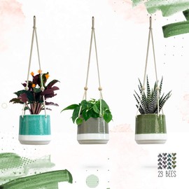 Ceramic Hanging Planter, Colorful Succulent Pots, Round Plant Holder Container, Cactus Pot with Cotton Rope Hanger, Indoor Outdoor Decor, 23 Bees (3 Pack x Pop of Color)