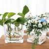 Hyuetrsa Square Glass Vases Set of 20, 2.4" x 2.4"