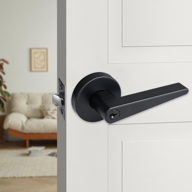 HISAFE Matte Black Keyed Entry Door Levers with Lock, Heavy