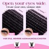 Individual Eyelashes,468PCS 100D+200D Cluster Lashes Kit D-Curl 10-18mm eyelash clusters