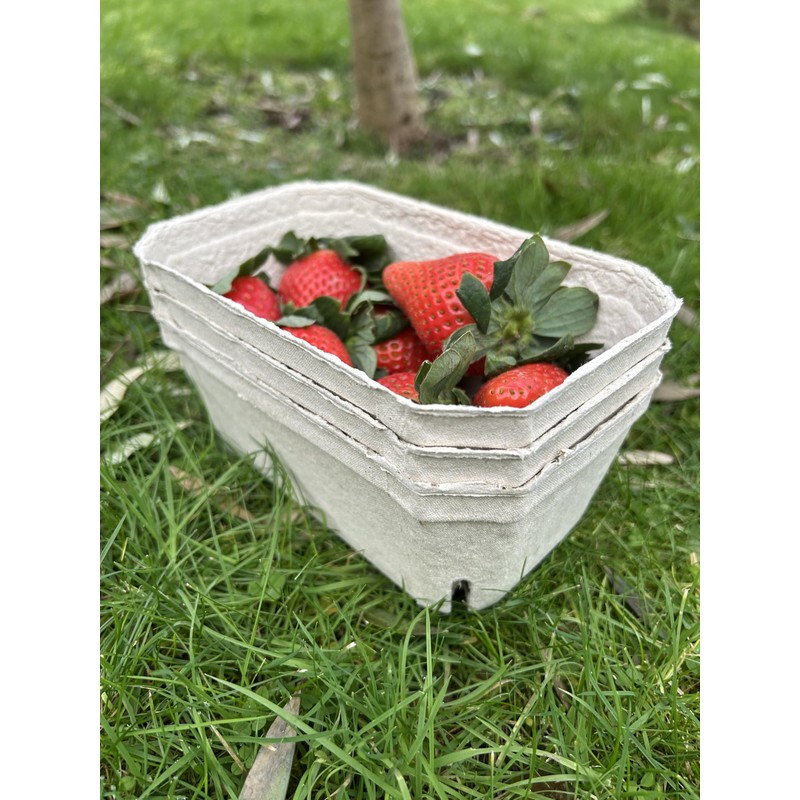 Bramley & Sage 500g Biodegradable Fibre Fruit Punnets (Various Quantities)