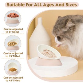 French Bulldog Food Bowl- Slanted Tilted Pug Food Water Bowl,Cat Bowl- Feeder for Frenchie/Shih Tzu/Flat Faced Small Dogs/Puppies/Cats (Lightpink, 4 Cup)