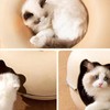 Cat Tunnel Bed with 2 Ventilated Windows Removable Washable Felt