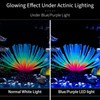 Yitaocity Silicone Sea Urchin Glow Fish Tank Decorations, Aquarium Imitative
