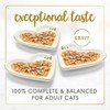 Purina Fancy Feast Gravy Lovers Poultry and Beef Grilled Gourmet