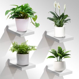 CQKEDMA Small Wall Shelf, Mini Floating Shelves for Wall 4 Inches Set of 4, Display Decor Shelf for Bedroom, Bathroom, Kitchen, White