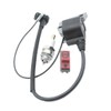 Replace Ignition Coil & On Off Stop Switch & Spark