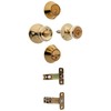 NU-SET Contractor Combo Lockset, 4 Sets of Keyed Entry Door Lock with Double Cylinder Deadbolt, Same Key, Polish Brass,Cranberry