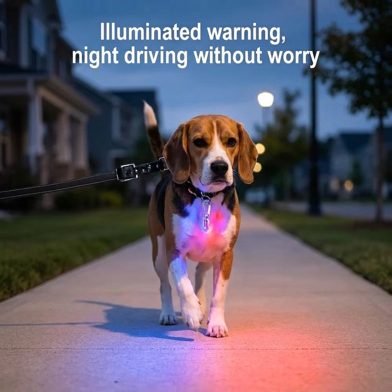 LED Light-Up Dog Tag for Nighttime Use – Glowing Flashing