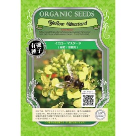 Green Field Project A058 Yellow Mustard (For Green Fertilizer/Landscape)
