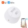 Wifi Flood Sensor, WIFI Water Leak Sensor Water Leak Intrusion