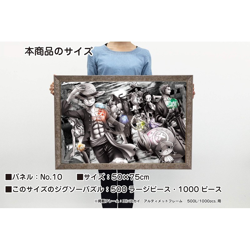Ensky 1000 Pieces Jigsaw Puzzle, One Piece, Landing [19.7 x