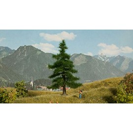 NOCH 0021810 Nordmann Fir Tree 120 mm Pack of 1