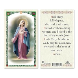 San Francis Imports Hail Mary Full of Grace Laminated Holy Prayer Card