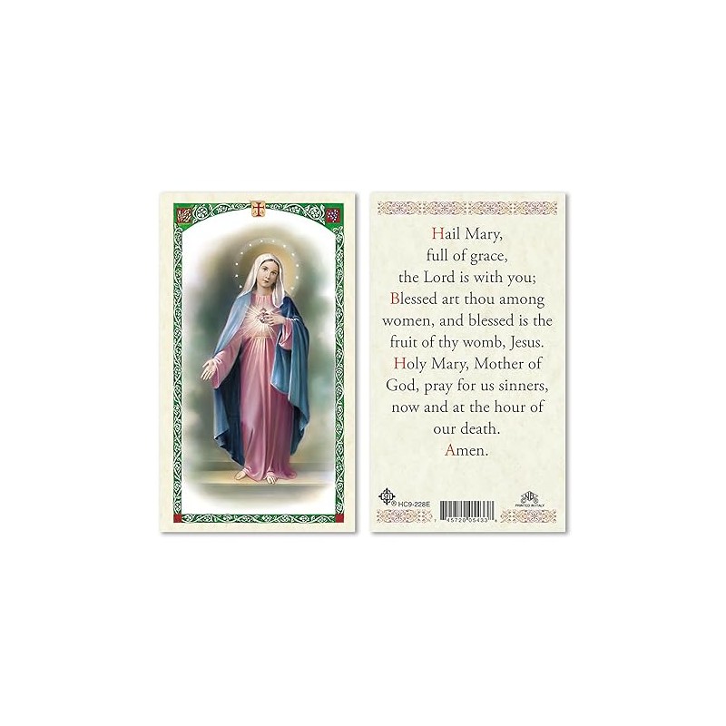 San Francis Imports Hail Mary Full of Grace Laminated Holy