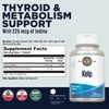 KAL 225 Mcg Kelp Iodine Tablets, 250 Count