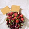 [100 Pack] Blank Toothpick Flags, Cheese Markers for Charcuterie Board