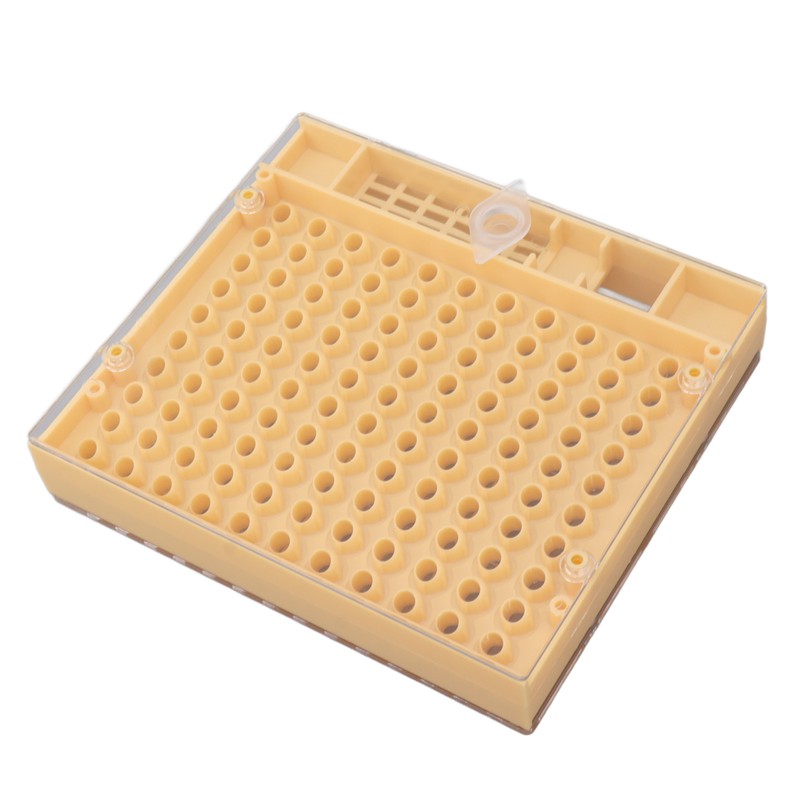Queen Bee Rearing System Plastic Breeding Cell Cup Kit Beekeeping