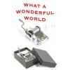 PopTopToys What A Wonderful World Wind Up Music Box