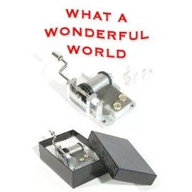 PopTopToys What A Wonderful World Wind Up Music Box
