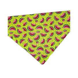 Watermelon Over the Collar Dog Bandana That Slips onto Their Existing Collar Size Extra Small