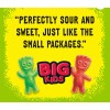 Sour Patch Kids Big Bag Of Sweet And Sour Candys
