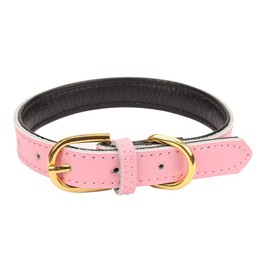 Aolove Basic Classic Padded Leather Pet Collars for Cats Puppy Small Medium Dogs