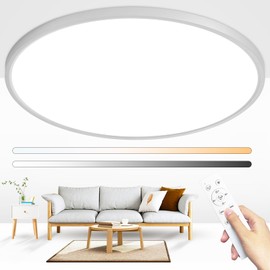 Glowall 24 Inch Round Led Ceiling Light Fixture, Ultra Thin Flush Mount, Dimmable with Remote Control, 56W, 5600 Lumen, Modern, Silver, for Kitchen, Dining Room, Bedroom, Living Room, Home Office