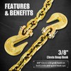 G80 Load Binder Chain,3/8"x10ft Tow Chain with G70 Hooks,5400lbs Safe