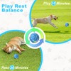 Bolpetizo Dog Toys Dog Ball, Durable Motion Active Rolling Balls