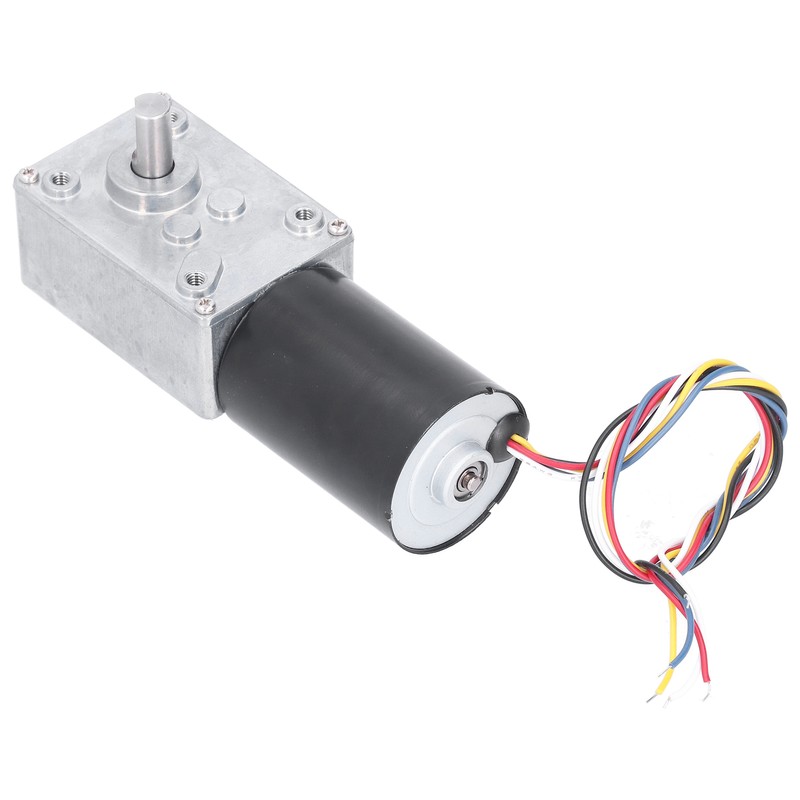 DC Brushless Worm Gear Motor High Torsion Low Noise Turbine