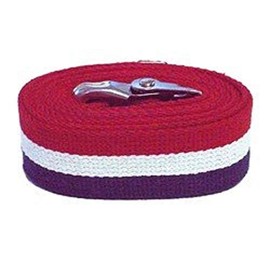 The Wright Stuff Patriot Stripe Gait Belt 60 inch