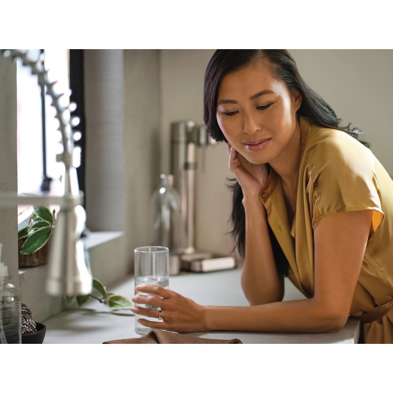 Moen Black Single Stage Under Sink Advanced Water Filtration System