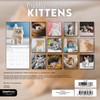 2025 Cuddly Kittens Mini Wall Calendar