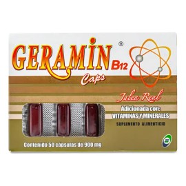 Geramin B12 Jalea Real Adicionada Con Vitamina Y Minerales 5 Sabor Na                                                                                 