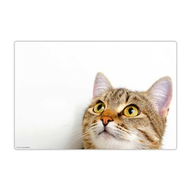 Desk Mat for Children and Adults - "Cat View" - Made of Premium Vinyl (Plastic) - 60 x 40 cm - Non-Slip Desk Mat for Best Protection - Made in Germany
