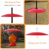 13" Glass Rain Guard for Bird Feeder Outdoors - Baffle