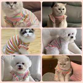 Sisa Chaska Dog Dress Clothes Puppy Birthday Outfit Pet T-Shirt Cut Rainbow Striped Summer Skirt Dresses for Small Medium Dogs Cats