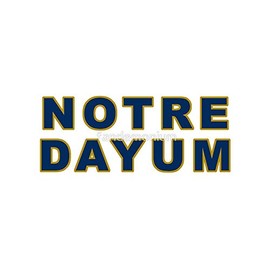 Notre Dayum - Fighting Irish, Notre Dame - Sticker Graphic - Auto, Wall, Laptop, Cell, Truck Sticker for Windows, Cars, Trucks