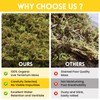 Riare 2.6LB Premium Sphagnum Moss for Reptiles- 100QT Natural Live