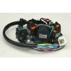 FANCY SCOOTERS Magneto Stator W/ Light For 125cc 140cc Apollo