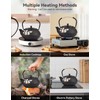 ALSKHEAS Japanese Cast Iron Teapot, Cast Iron Tea Kettle with