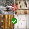 8Pcs Pure Brass Decorative Screws with Caps Mirror Fixing Screw