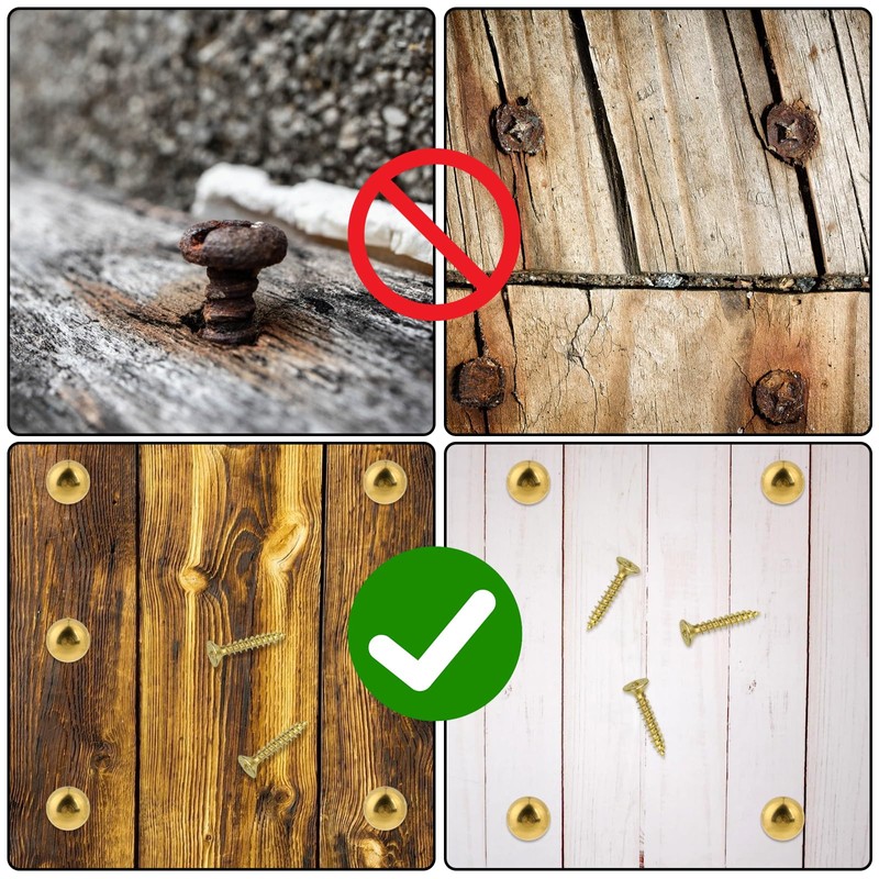 8Pcs Pure Brass Decorative Screws with Caps Mirror Fixing Screw