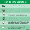Burpee Big Boy Tomato Seeds 125 seeds