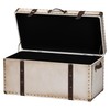 Baxton Studio Nevio Canvas Storage Trunk, Beige/Coffee/Black