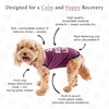 BellyGuard BellyGuard Recovery Suit for Dogs, Comfy Dog Surgery Suit,