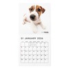 THE DOG 2026 Wall Calendar, Mini Size (Jack Russell Terrier)