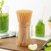 Restaurantware-Basic Nature 8.3 Inch Disposable Straws, 100 Sustainable Straws -